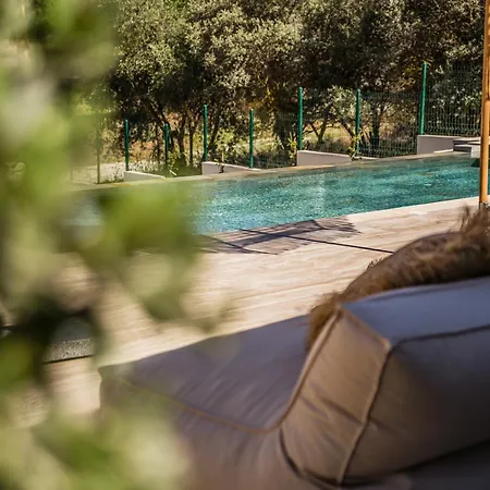 The - Modern Tradition - Luxury 2-bedroom Boho Retreat With Private Infinity Pool Dhora